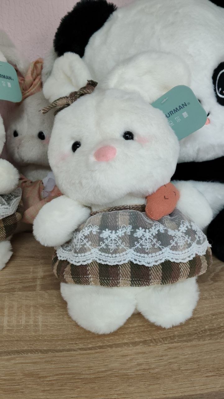 Заяц